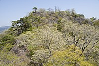 鍋足山