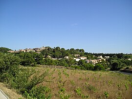 A general view of Murviel-lès-Montpellier