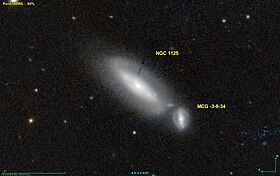Image illustrative de l’article NGC 1125