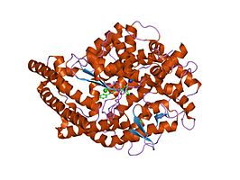 Angiotensine-converterend enzym