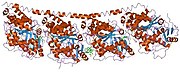 1z2b: Tubulin-colchicine-vinblastine: stathmin-like domain complex