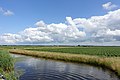 Polder Waard-Nieuwland