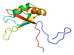Protein SART3 PDB 2do4.png
