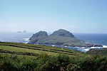 Pienoiskuva sivulle Puffin Island (Kerryn kreivikunta)
