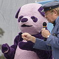 "Purple Panda" and David Newell