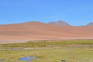 A green wetland in the foreground with sandy dry peaks in the background on a blue sky