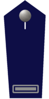 Brandinspektor/-in