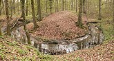 Stemmelriede bei Burg Rothehof