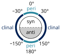 syn/anti peri/clinal Synantipericlinal.svg