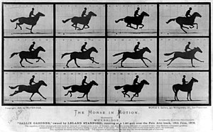 The Horse in Motion by Eadweard Muybridge.