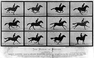  The Horse in Motion