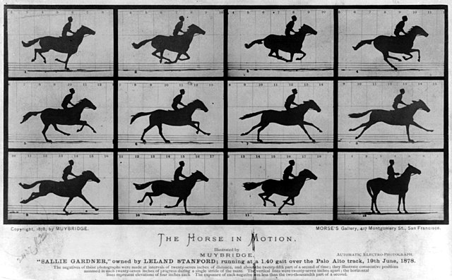 Ovo je originalni rad "The Horse in Motion" koji je doneo slavu Edvardu Majbridžu.