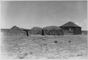 Navajo Hogan House