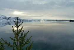 Haukøyfjorden set mod sydvest.