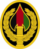 Совместная оперативная группа специального назначения USAE по Афганистану SSI 2013-04-30.png