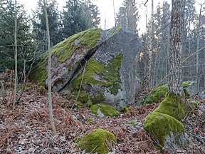 Urkuvėnų akmuo draustinyje