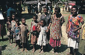 The indigenous Papuans of New Guinea have Australoid and Negroid physical characteristics and are considered black in some cultures despite being gentically closer to Southeast Asians than to Africans. 