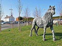 Welsh Mountain Pony, Llandudno