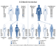 X-linked recessive (2).svg (mother and father)