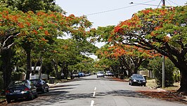 Yabba Street, Ascot