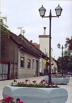 Куцура, Војводина