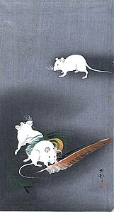 Три білі миші