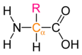 Generalized amino acid.