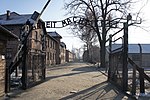 Vignette pour Auschwitz et après