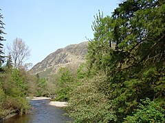 Benmore Botanic Garden