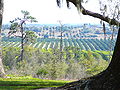 View from Iron Mountain north of Lake Wales, Florida