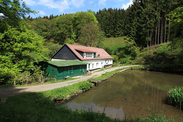 Die Mühle im Jahr 2011