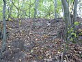 Außenansicht Wall, Verstärkung aus Findlingen