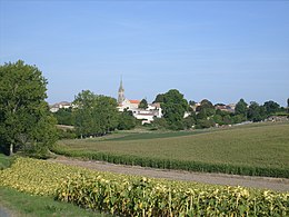 Chenac-Saint-Seurin-d'Uzet – Veduta
