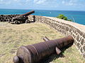 Kanonnen van Fort Rodney