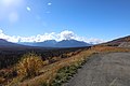 Le montagne Chugach dall'autostrada Richardson Hwy