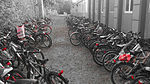 Cykelparkering Mårtenskolan 2015