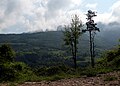 Blick zu den Vercors-Felsen