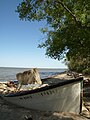 Lake Manitoba dalla Delta Marsh Field Station