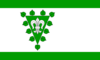 Flag of Wiershop