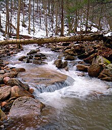 Flickr - Nicholas T - White Brook (2).jpg