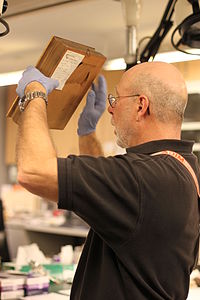 Frame conservator examining frame