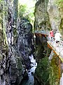 Passerelles des gorges du Fier