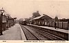 Goudhurst station in the 1900s