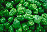 綠色的燈籠椒，即青椒