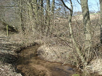 Da Höllenbach voa Schöllkrippen