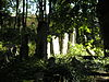 Israelitischer Friedhof Währing September 2006 022.jpg