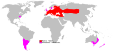 Mapka s rozšířením (červeně oblasti, kde je zajíc původním druhem, růžově oblasti, kam byl zavlečen)