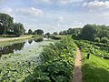 De Zuidgaag is de oostelijke begrenzing van de Dijkpolder. Links is de Dijkpolder en rechts de Commandeurspolder.