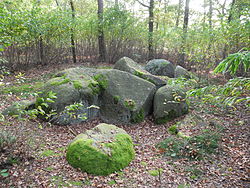 Großsteingrab Mehringer Steine 1