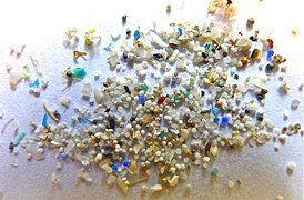 Microplastics found in sediments on the seafloor